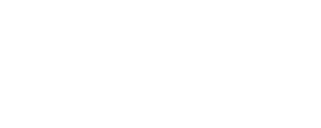 Travelscanner