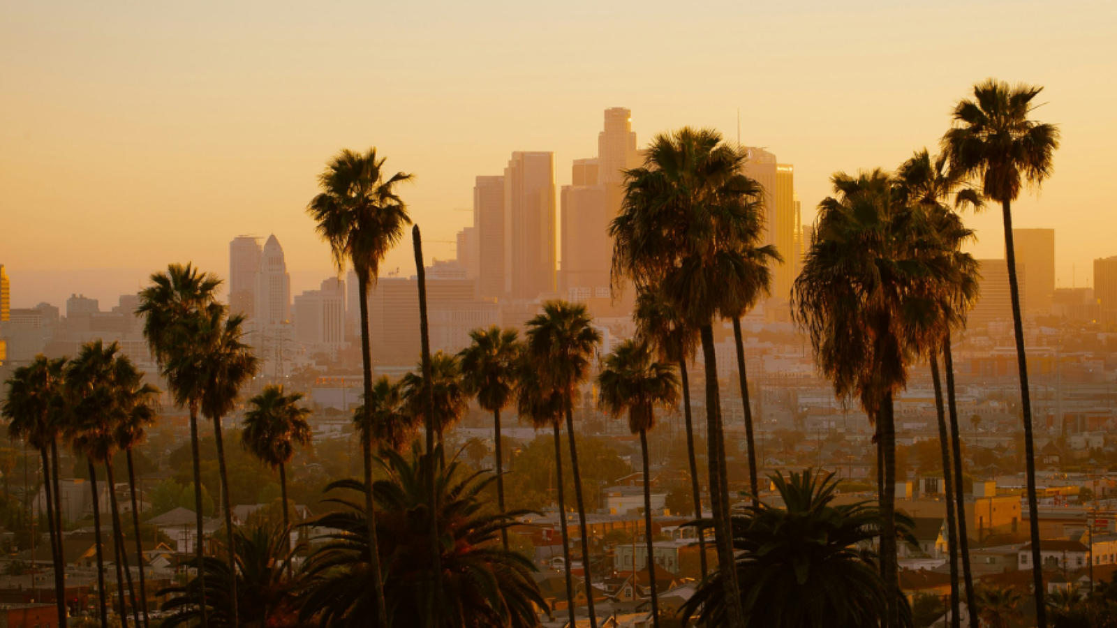 los angeles 1140x500 (3)